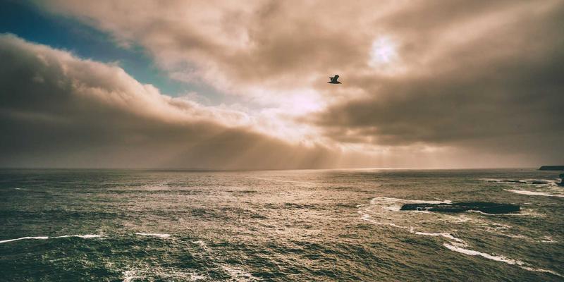 上海华润10：探索高品质装饰材料与地板建材的卓越供应商