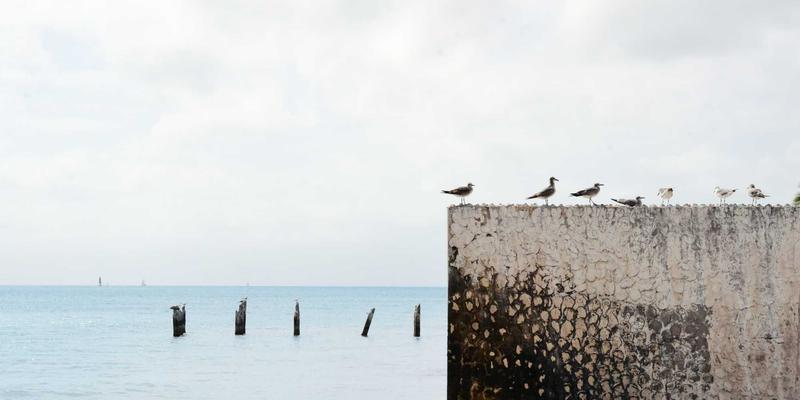 上海华润网络金融科技如何赋能建材供应商？卫浴行业供应链金融解决方案深度解析