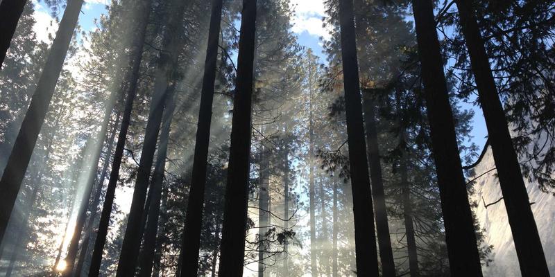 上海华润趋势：探索建材供应商的创新之路与地板材料新纪元