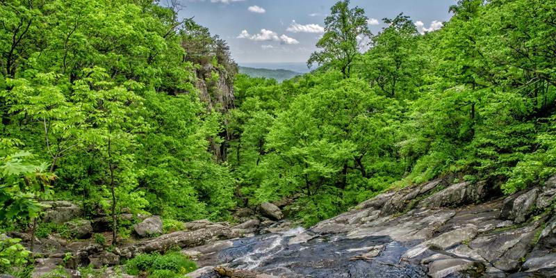 从建材供应商到医药巨头：上海华润医药商业渠道网络如何重塑长三角药品供应链