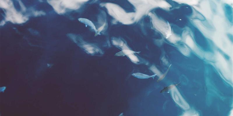 从建材供应商到地板选择：上海华润雪花啤酒如何借鉴本地化思维深耕消费市场